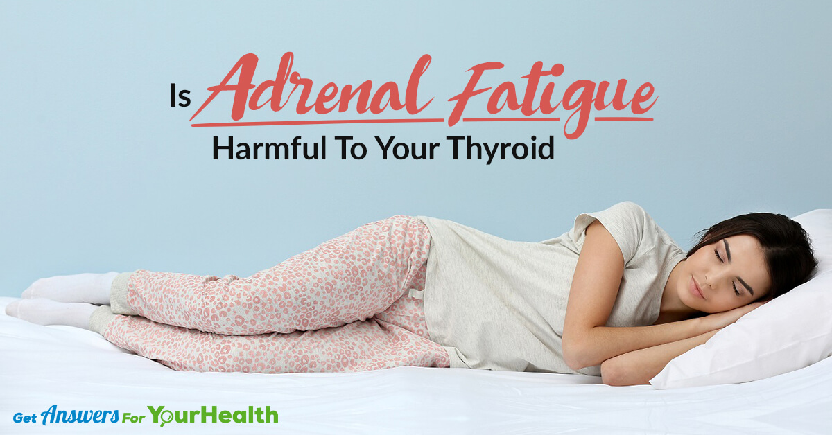 How is Adrenal Fatigue Harmful to Your Thyroid? Health