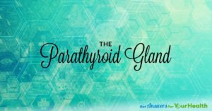 Your-Parathyroid-Gland